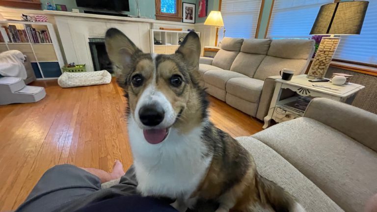 Rosie is always asking for something! Especially love.