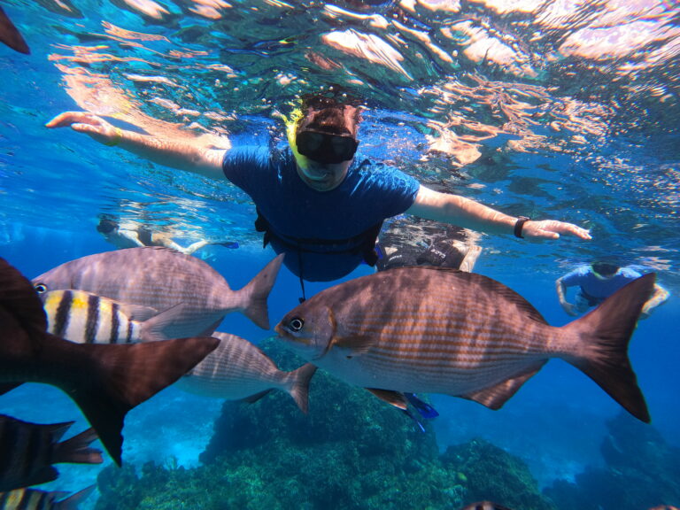 Me, swimming with the fish in the Caribbean.