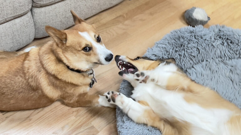 Rosie and Fred are super cute together.