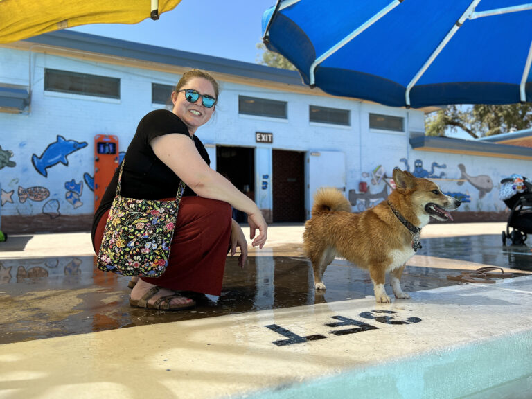 The dogs are fascinated by the Lubbock swimming pool.