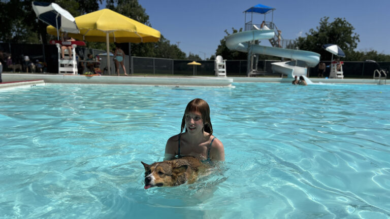The dogs are fascinated by the Lubbock swimming pool.