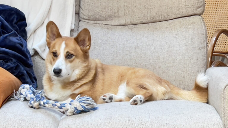 Fred is also super cute.