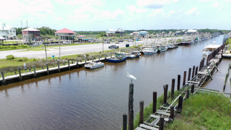An Egret in Mississippi, watching the shrimp boats.